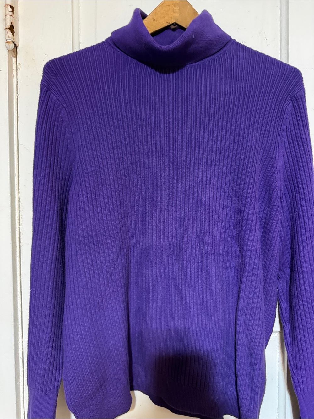 Talbots Men's Ribbed Turtleneck Sweater in Deep Purple